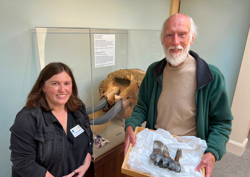 Liz Broughton, visitor experience manager at the Santa Cruz Museum of Natural History in Santa Cruz, California, poses with Jim Smith, a local man who found the tooth after it had been initially spotted by another person and subsequently disappeared from its original site of discovery. Image courtesy of the Santa Cruz Museum of Natural History