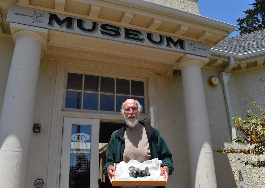 Jim Smith, a local Californian who said he ‘stumbled upon’ the missing mastodon tooth during a jog, poses with the find outside of the museum where it now resides. Image courtesy of the Santa Cruz Museum of Natural History 