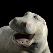 Detail of Ancient Egyptian faience hippopotamus, $56,700. Image courtesy of Hindman