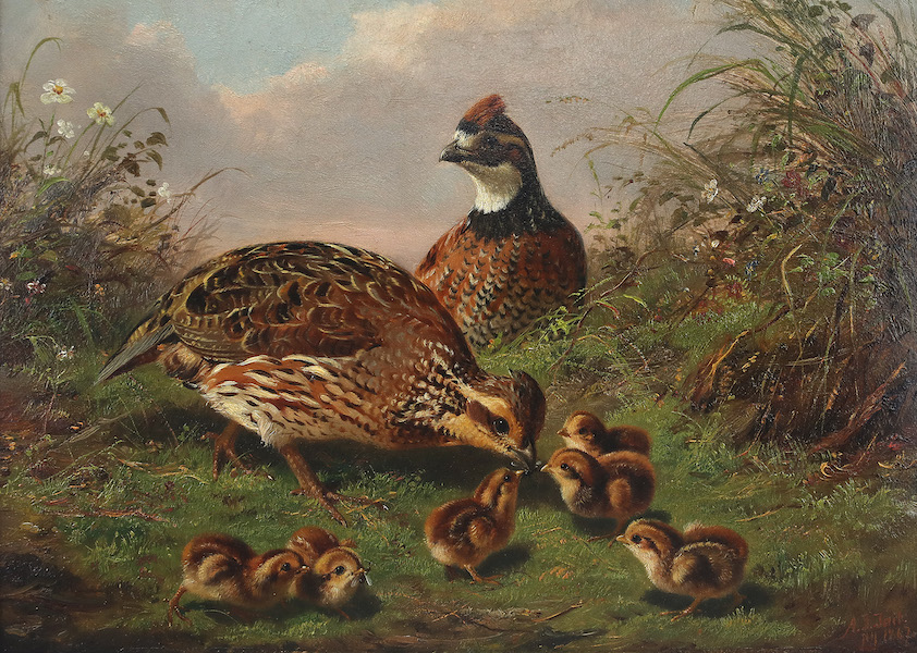 Arthur Fitzwilliam Tait, ‘Quail and Chicks,’ estimated at $20,000-$30,000. Image courtesy of Copley Fine Art Auctions