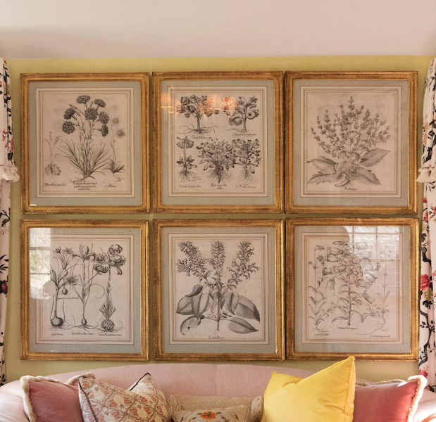 A grouping of eight uncolored botanical plates by Basilius Besler from his masterwork ‘Hortus Eystettensis’ achieved $20,000 plus the buyer’s premium in April 2023. Image courtesy of Stair and LiveAuctioneers.