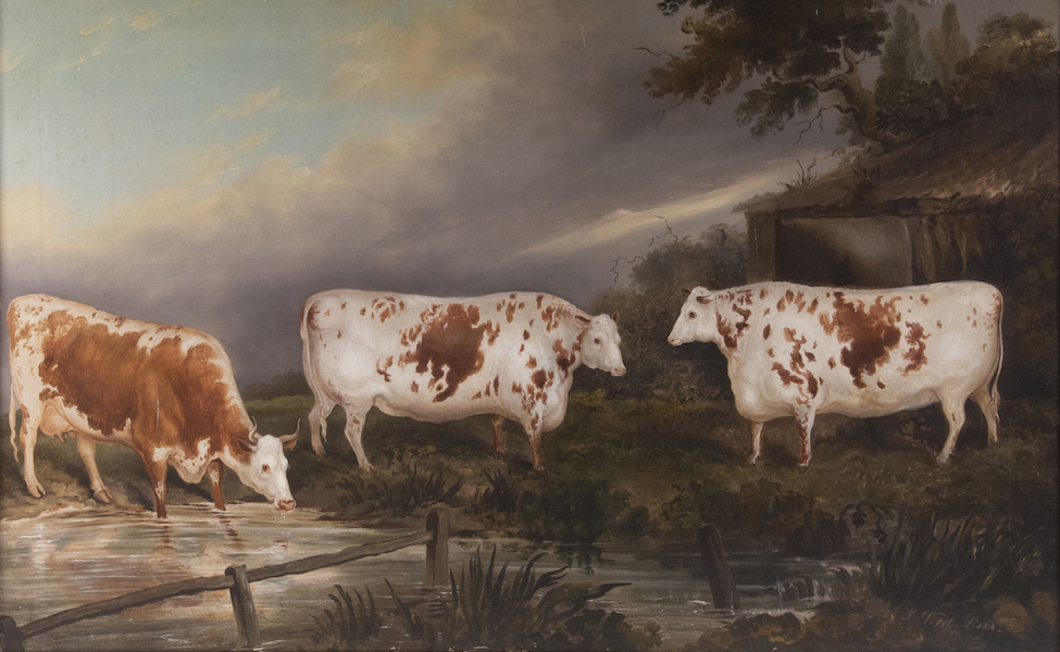 John of Colchester Vine painting of cows, $12,500. Image courtesy of Thomaston Place Auction Galleries