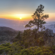 Photograph taken within the bounds of what is now the Oregon portion of the Cascade-Siskiyou National Monument in May 2015. On July 18, a federal appeals court upheld the legality of an expansion of the national monument enacted by President Barack Obama in 2017. Image courtesy of Wikimedia Commons, photo credit Bob Wick of the Bureau of Land Management (BLM). Shared under the Creative Commons Attribution 2.0 Generic license.
