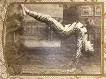 Cabinet card photos of late 19th and early 20th century circus acts from an album estimated at $2,000-4,000 at Freedom Auction Company.