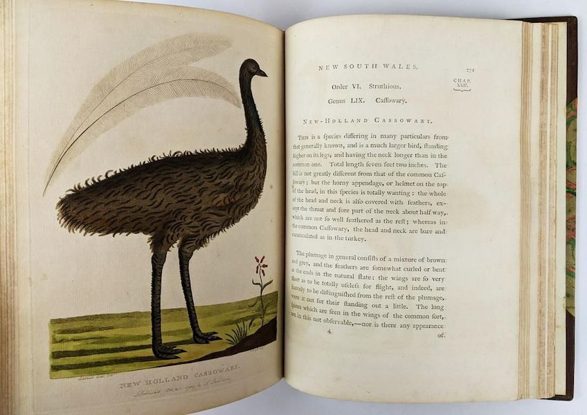 New Holland Cassoware, a plate from ‘The Voyage of Governor Phillip to Botany Bay’ by John Stockdale, 1789, estimated at Aus$38,000-$48,000 ($24,900-$31,450). Image courtesy of The Book Merchant Jenkins and LiveAuctioneers