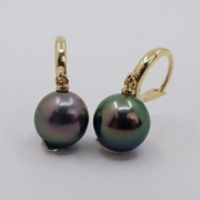 Tahitian peacock green pearl drop earrings on 14K gold mounts, estimated at $900-$1,000 at Jasper52.