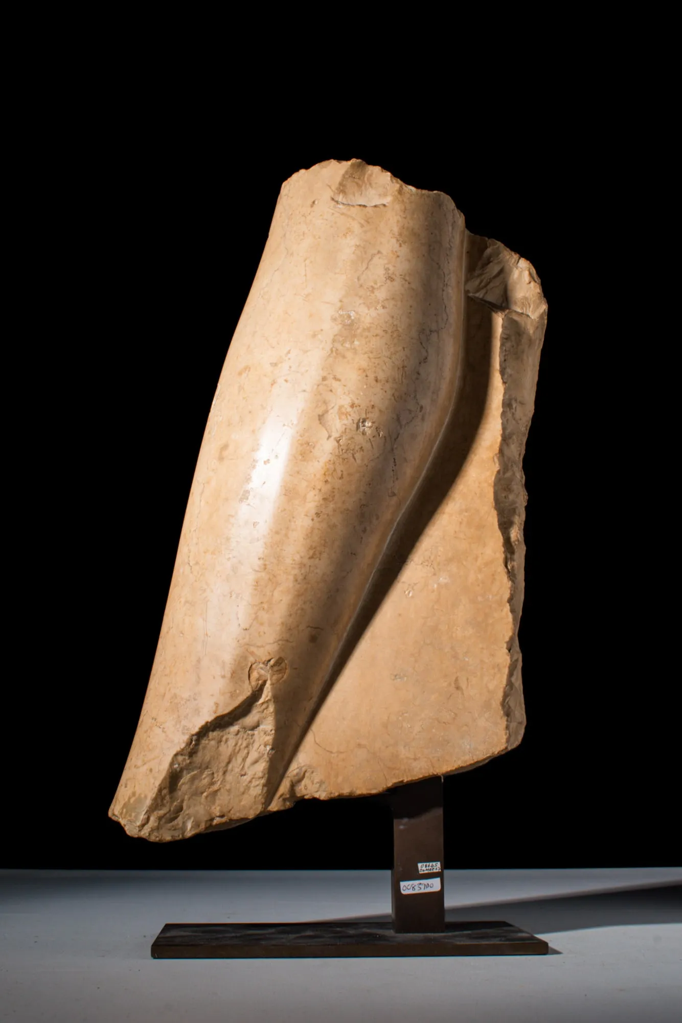 Middle Kingdom, 12th Dynasty (circa 1859-1813 BC) calcite lower leg fragment, which sold for £18,000 (£22,500 or $28,540 with buyer’s premium) at Apollo Art Auctions.