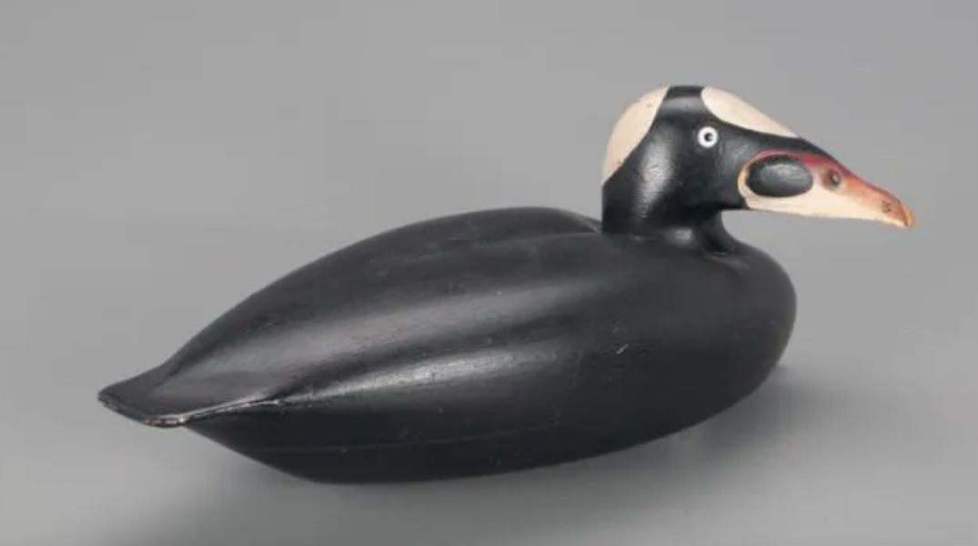 A Surf Scoter decoy by Charles E. ‘Shang’ Wheeler brought $21,000 plus the buyer’s premium in February 2021. Image courtesy of Copley Fine Art Auctions and LiveAuctioneers.