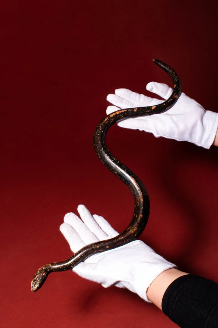 Greek Black Glazed Terracotta Snake, estimated at £20,000-£30,000 ($25,000-$38,000) at Apollo.